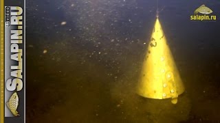 Прикормка на ракушке на сильном течении (подводное видео) [salapinru]