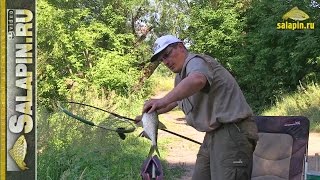 Трудовая рыбалка на Москва-реке (рыбалка без прикрас) [salapinru]