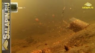 Фидерные кормушки под водой на сильном течении [salapinru]
