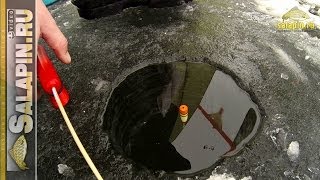 Зимние поклевки подлещика: классический поплавок, отводной поводок, мормышка [salapinru]