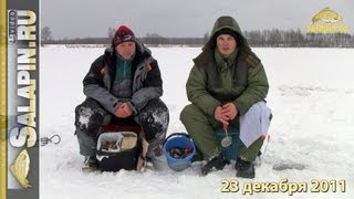 Скоростная ловля мелкого окуня со льда [salapinru]