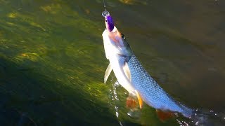 Рыбалка на малых реках летом