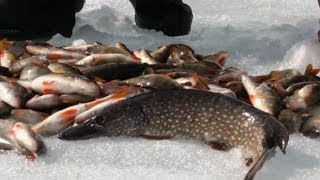 Ловля рыбы зимой