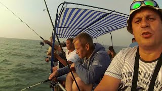 Морская рыбалка на искуственные приманки от Михалыча. Черное море. Затока. Днестровская банка