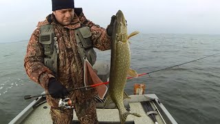 Рыбалка 2015: Ловля щуки зимой по открытой воде