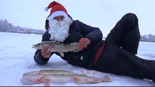 Рыбалка зимой от Михалыча. Ловля щуки на жерлицы