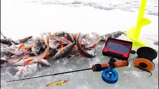 Обзор ПОДВОДНОЙ ПОИСКОВОЙ КАМЕРЫ для рыбалки Fishcam 950 1000TVL