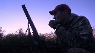 ОХОТА НА УТОК и о наболевшем - проблемы современной охоты России   hunting