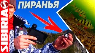 Подводная видео камера Пиранья 2 cam для рыбалки от магазина Fish Cam ru с режимом записи