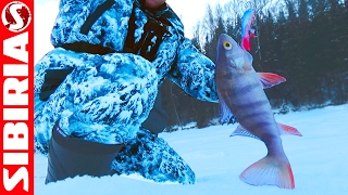 Обувь для рыбалки и охоты из полиуретана Polyver Winter (Швеция)
