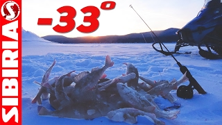 - 33 ЖЕСТЬ Суровая Сибирская рыбалка в глухозимье  Не повторять! опасно для здоровья)!