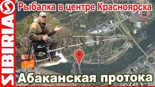 Ловля в центре Красноярска  Рыбалка на абаканской протоке остров Отдыха