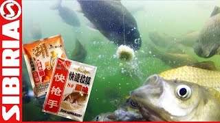 Обзор китайского теста (херабуна) для ловли карася, толстолобика, белой рыбы . СКОРО