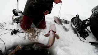 Поломка снегохода но рыбалка состоялась.