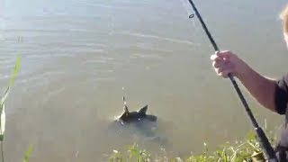 Рыбаки ловили рыбу А.....!!!!Вот это рыбалка!!!2017##182