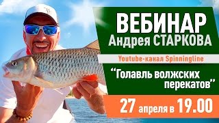 Вебинар Андрея Старкова "Голавль волжских перекатов"