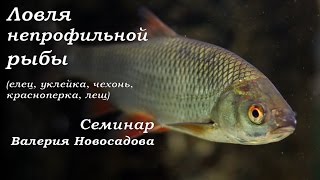 Ловля непрофильной рыбы. Семинар Валерий Новосадова