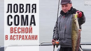 Ловля сома весной в Астрахани