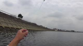 川での黒鯛釣り。今年初でどんな感じ？？