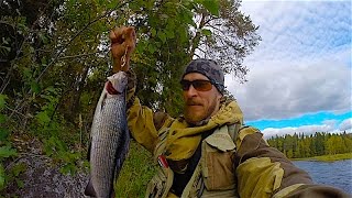 Рыбалка в Северной Карелии День 3-4 Первый хариус
