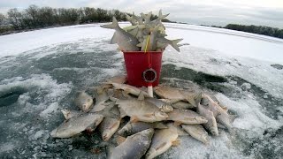Зимняя рыбалка. Ловля белой рыбы (густера). Бешеный клёв. Рыбалка на льду.