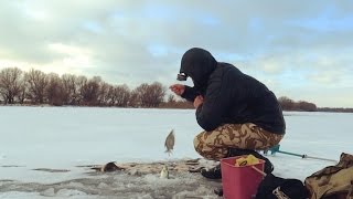 Рыбалка на льду.  Зимняя рыбалка. Попал на густеру.