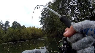 Я таких не ожидал увидеть в маленькой речке!!!Уловистая приманка!Рыбалка на спиннинг.