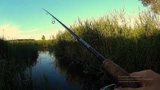 Вот так ручей!!!Вот что можно поймать в маленьком ручье!!!Рыбалка на спиннинг летом 2017.