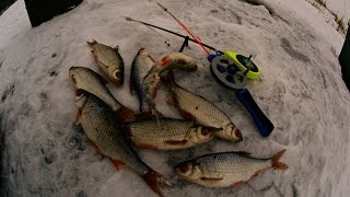 Ловля плотвы и окуня зимой на реке | Зимняя рыбалка | Клев рыбы