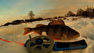 ловля окуня | зимняя рыбалка 2016 | видео ловля