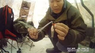 Рыбалка на щуку и сига подледной удочкой! Якутия Yakutia