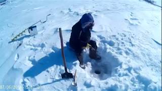 Ловим небольших окушков - дневной клев! Якутия  Yakutia