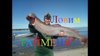 Ловим тайменя, осетра и налима! Рыбалка в Якутии! Yakutia