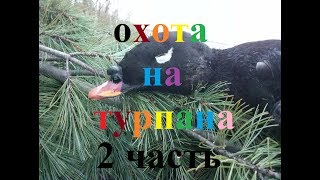 часть 2 Охота на турпана в Якутии hunting for ducks in Yakutia