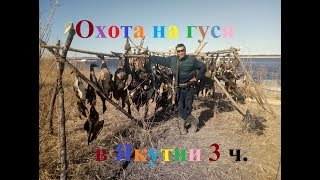 Охота на гуся 2017 в Якутии часть 3 заключительная