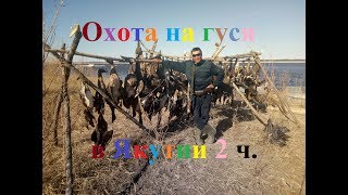 Охота на гуся 2017 в Якутии часть 2