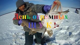Fishing день огромных щук Якутия, ловим щук Yakutia