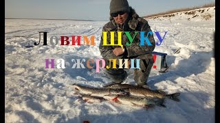 Fishing выезд на рыбалку от 26.03.2017 Щука на жерлицу Якутия Yakutia