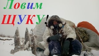 Fishing Выезд в пургу на буране на рыбалку (окунь щука) 12.03.2017 Yakutia