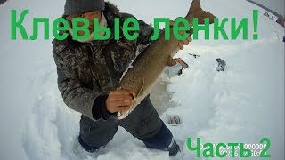 Russia 3 день рыбалки на ленка - сиг тоже есть Yakutia