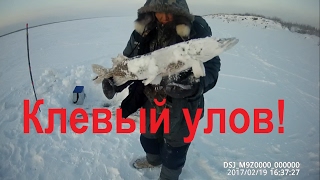 Fishing Ловим крупную щуку Yakutia
