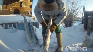 Fishing способ чистки щуки и налима на морозе - 40 градусов Yakutia