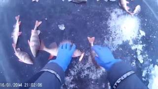 Продолжение рыбалки со льда