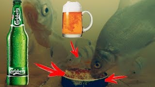 Реакция рыбы на ПИВО!!! Подводная съемка | Рыбалка на фидер 2017