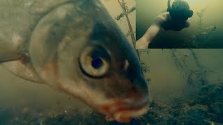 ЛЕЩ чуть не СЪЕЛ КАМЕРУ!!! Рыбалка + Подводная Съемка | Фидер и Донка