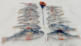 Зимняя Рыбалка на Окуня | Ловля на Мормышку