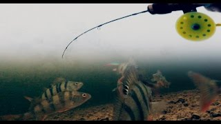 Самая Крутая Зимняя Рыбалка 2017! | Окунь на Балансир