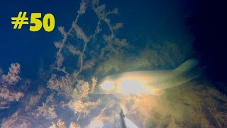 Подводная охота #50