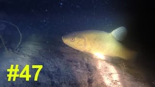 Подводная Охота #47