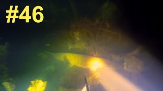 Подводная Охота #46 в речке | Язь, Голавль, Щука, Судак